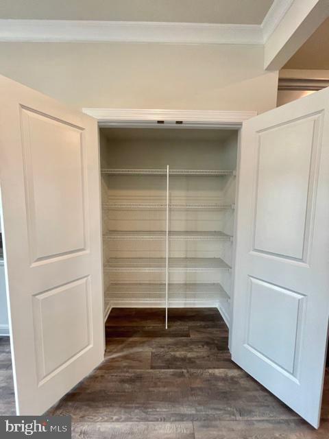 7103 Delegate Place Frederick, MD 21703 - Photo 17 of 42 a view of an empty walk in closet