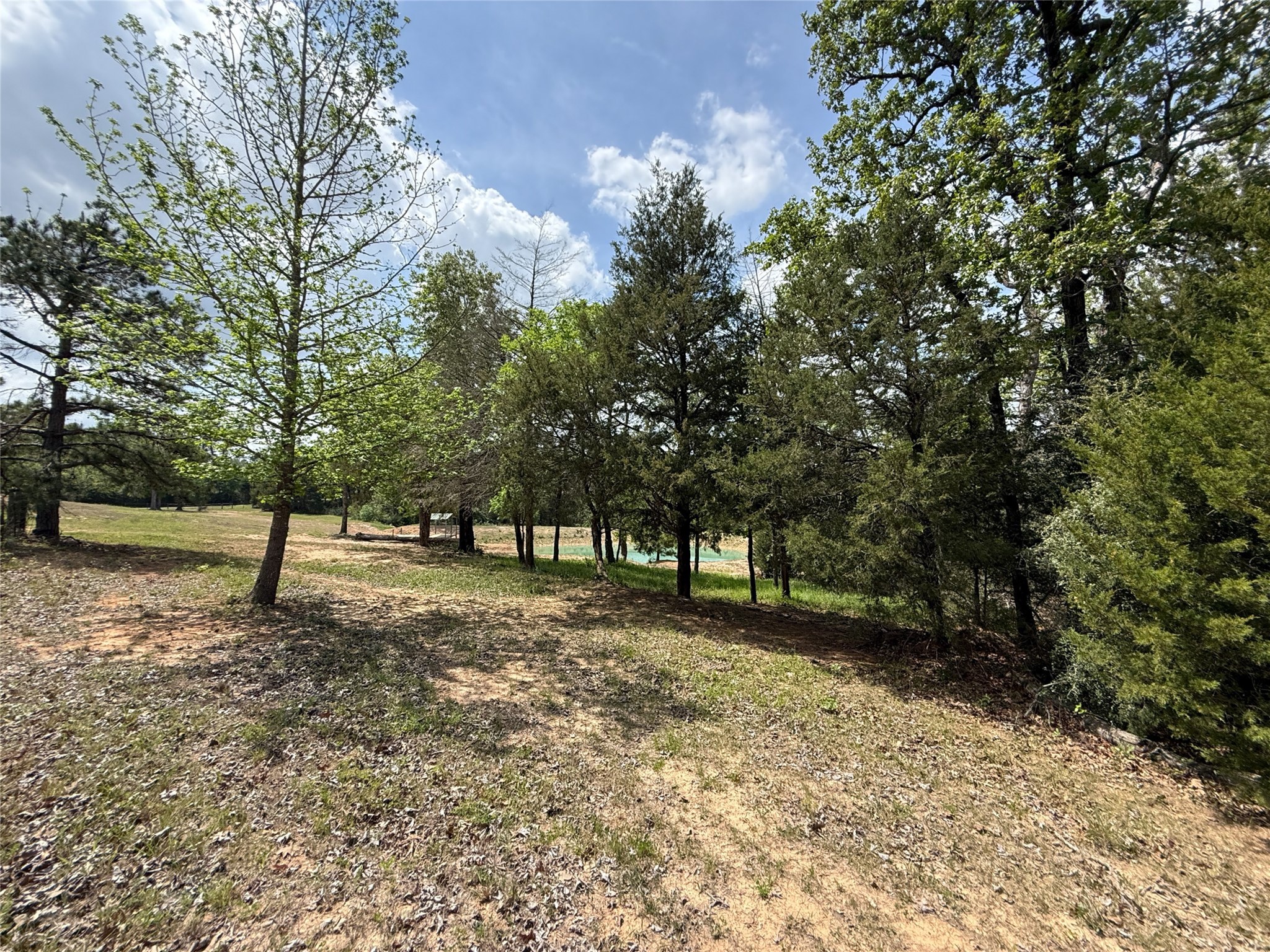 740 Bridget Avenue Buffalo, TX 75831 - Photo 16 of 50 a view of a yard with a tree