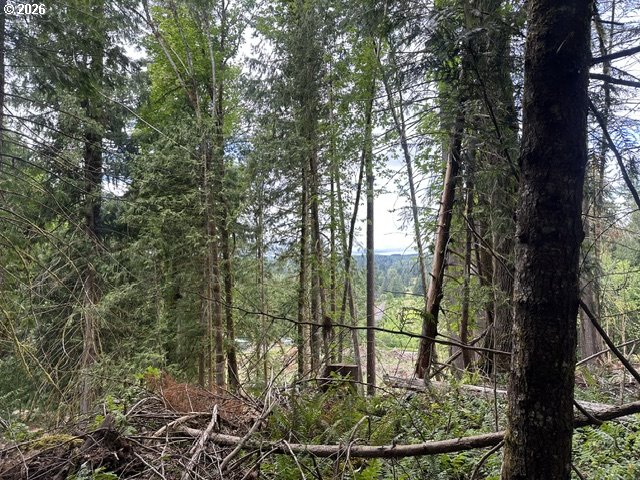 H Street Vernonia, OR 97064 - Photo 17 of 21