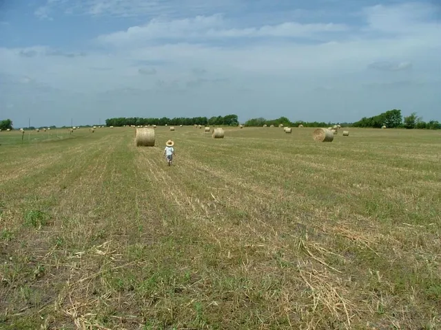 a view of a lake with a mountain in the back
