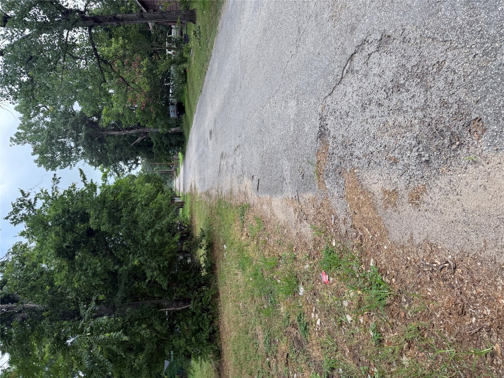 a view of a yard with a trees