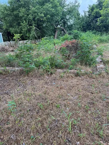 a view of a yard with a tree