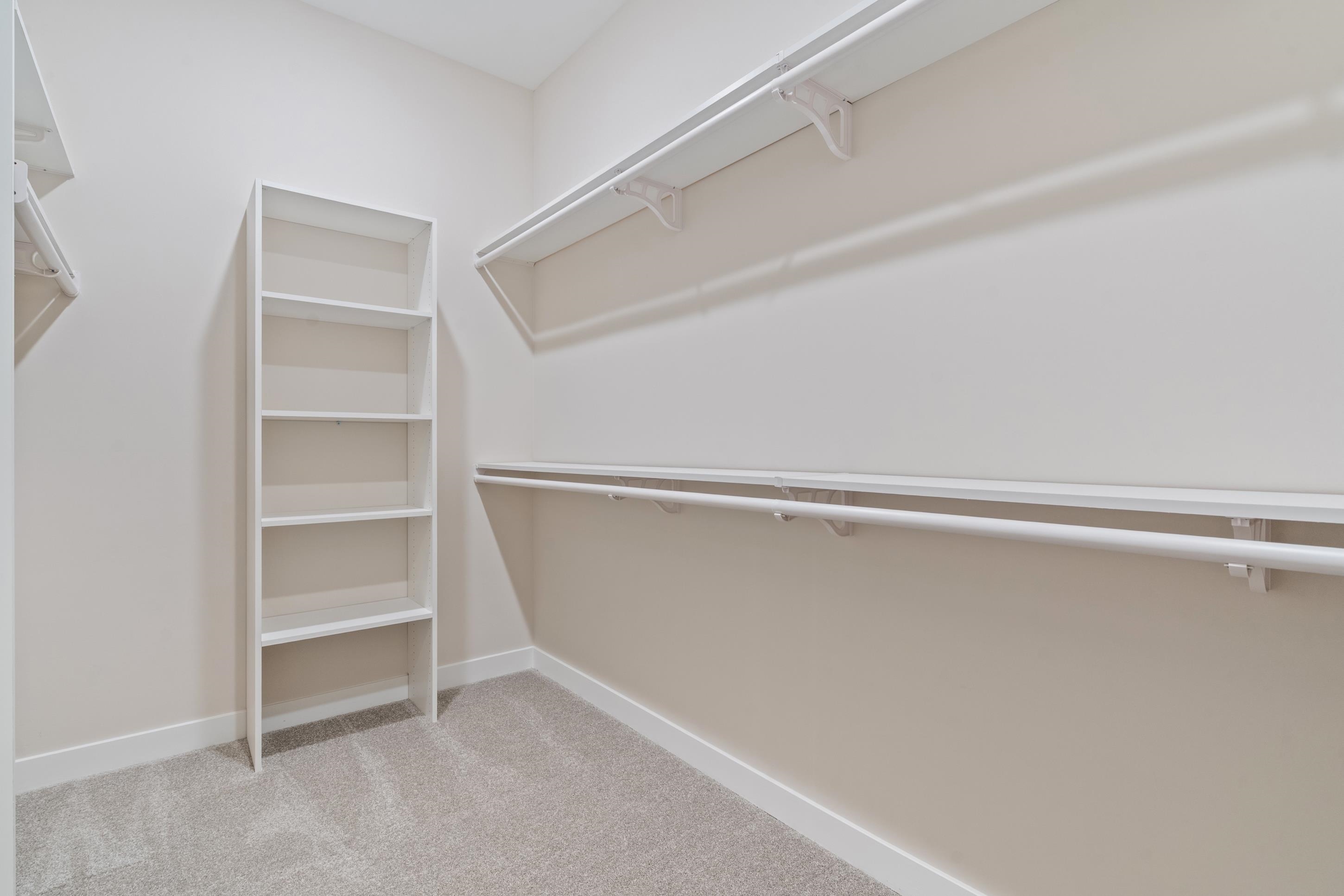 4844 Lyla Lane Collierville, TN 38017 - Photo 19 of 31 Walk in closet with light carpet