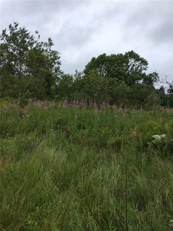 Map 8-lot Map 8-lot County Road Lubec, ME 04652 - Photo 4 of 11 Photo