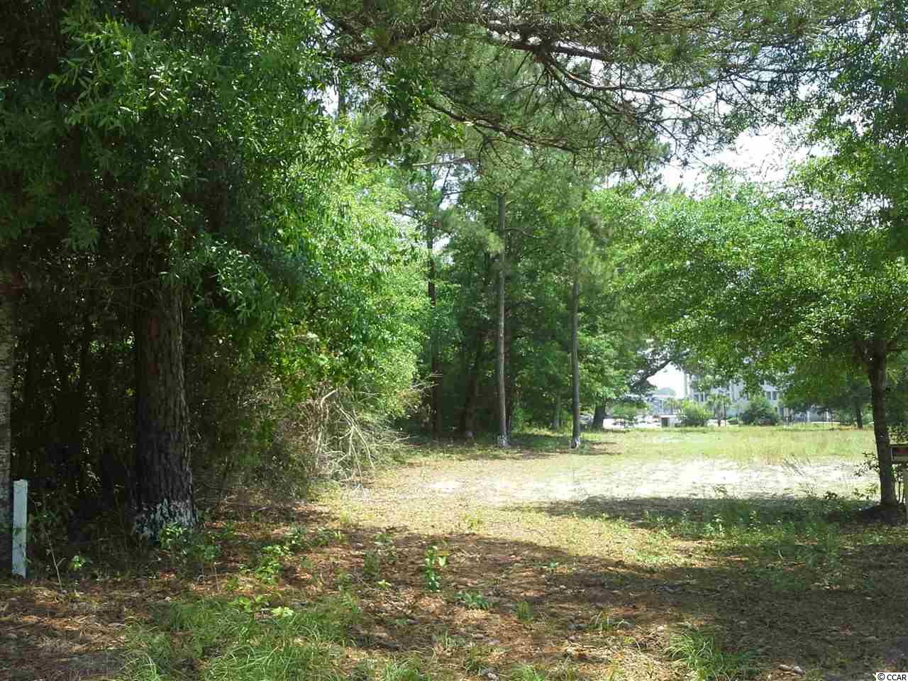 Lot 1 Old Crane Road Little River, SC 29566 - Photo 6 of 14 Gallery Image 6