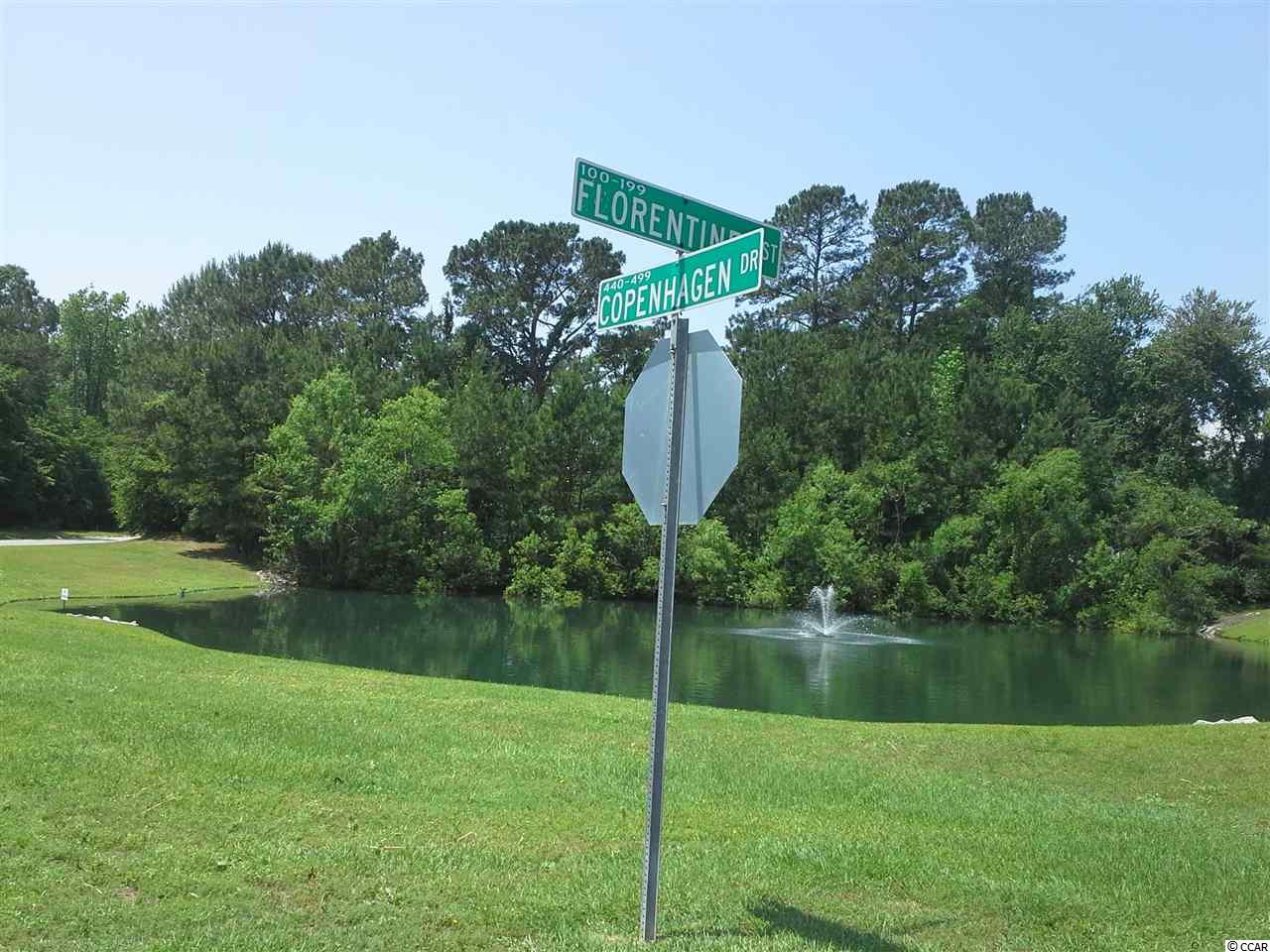 Lot 1 Old Crane Road Little River, SC 29566 - Photo 8 of 14 Gallery Image 8