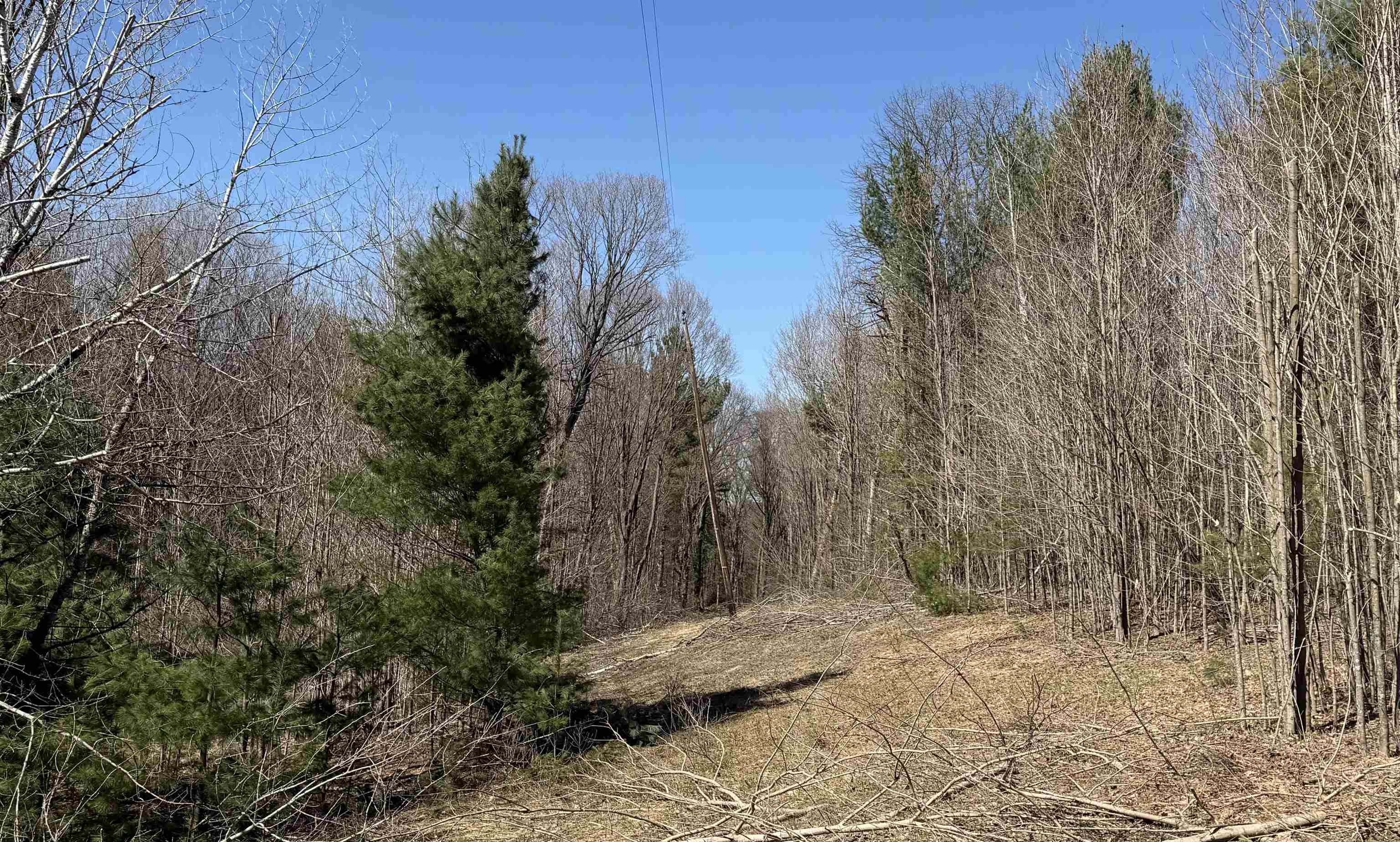 Parcel E Orchard Hill Road Bellaire, MI 49615 - Photo 2 of 13