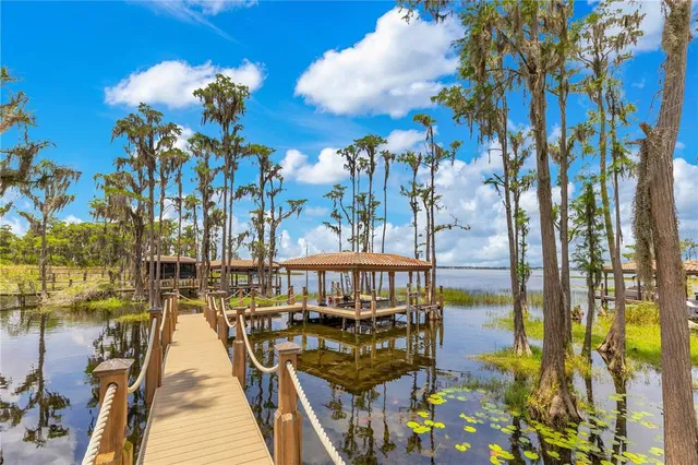 a aerial view of a house with a garden