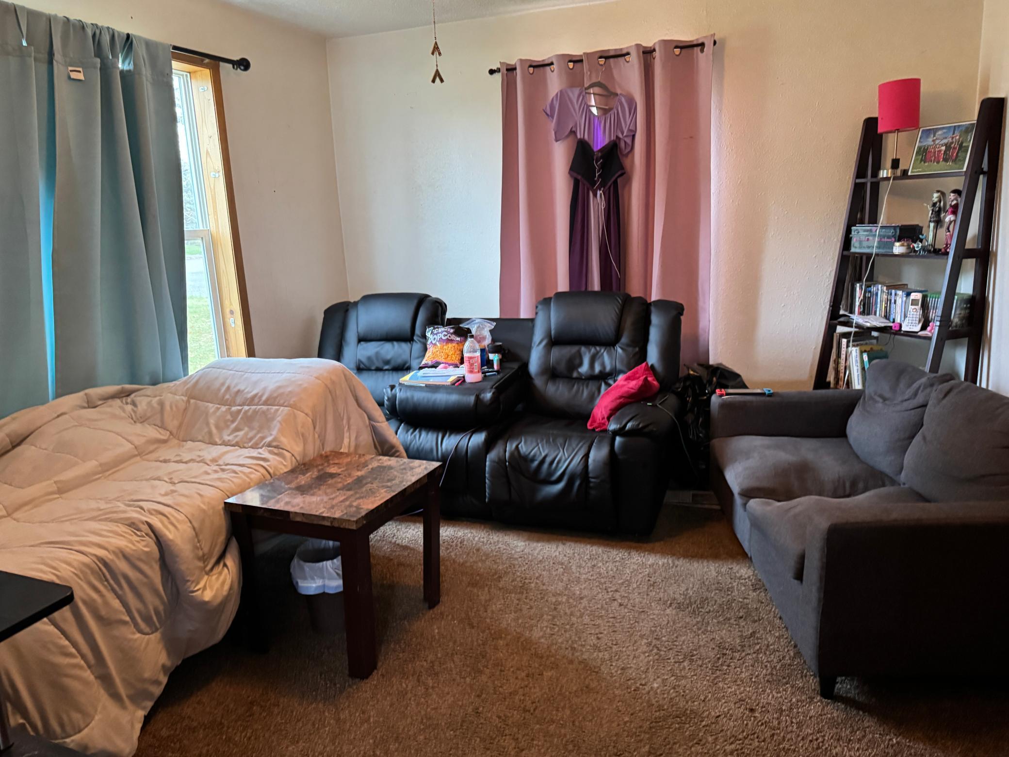 440 Southwest Cleveland Avenue McIntosh, MN 56556 - Photo 7 of 15