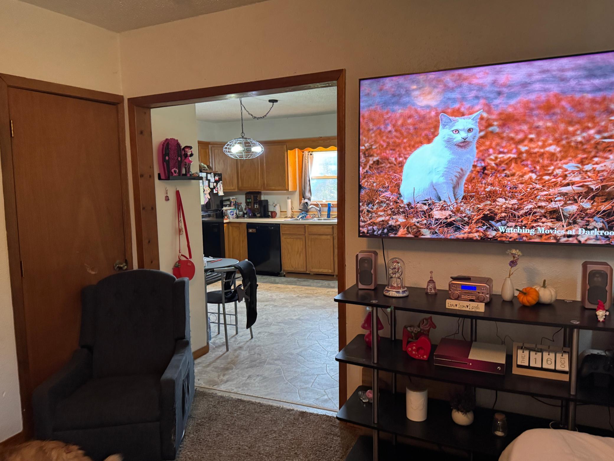 440 Southwest Cleveland Avenue McIntosh, MN 56556 - Photo 8 of 15