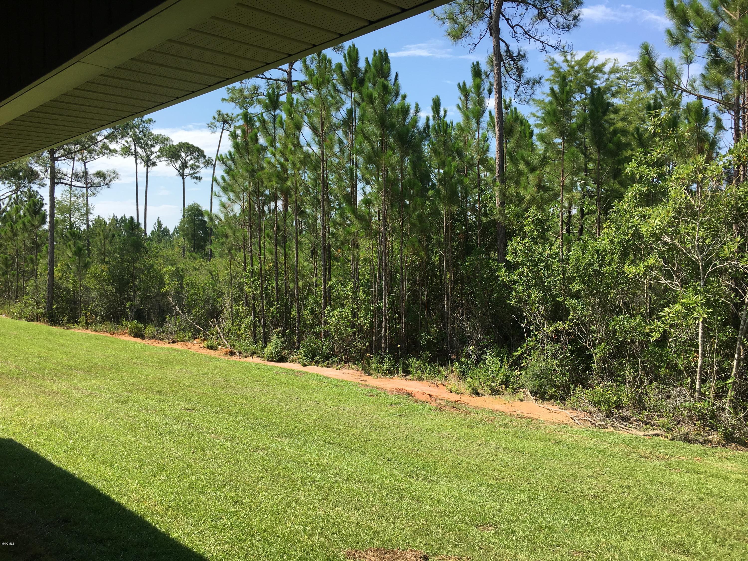 6869 Biddix Evans Road Ocean Springs, MS 39564 - Photo 8 of 34 Private wooded back yard
