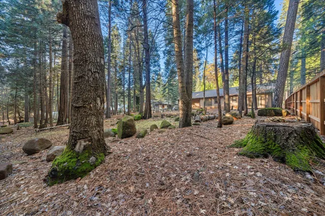 a backyard of a house with lots of green space