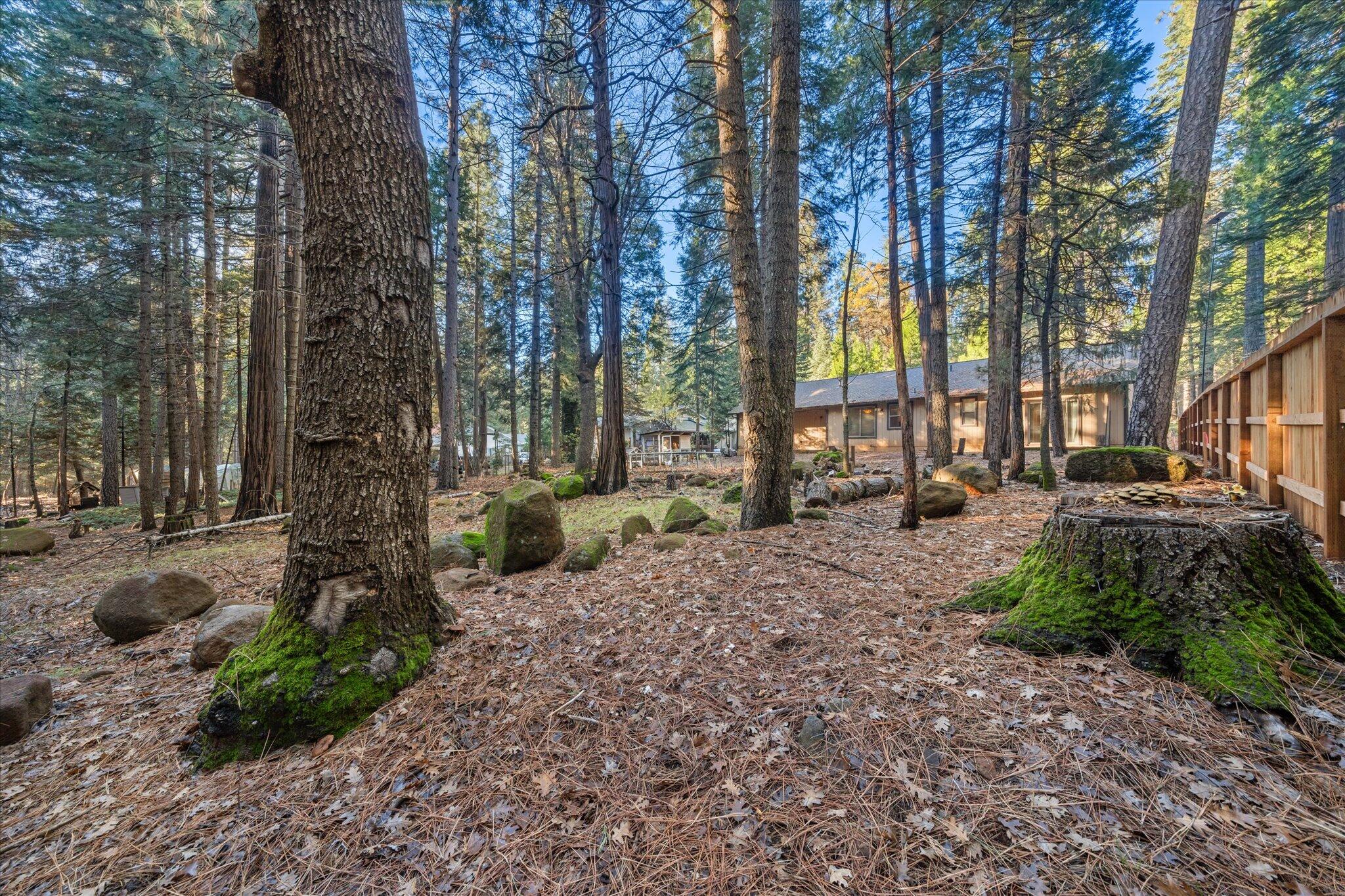 30821 Tinkerbell Lane Shingletown, CA 96088 - Photo 21 of 25 31-BiggerFlow Real Estate Media-31