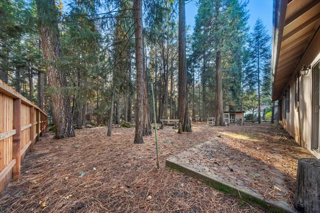 a view of a backyard with trees