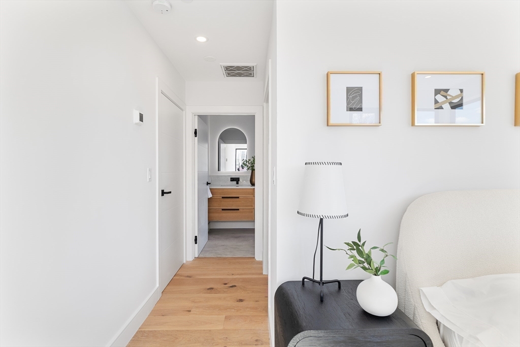 41 University Road, Unit 2 Brookline, MA 02445 - Photo 19 of 33 a living room with furniture and a potted plant