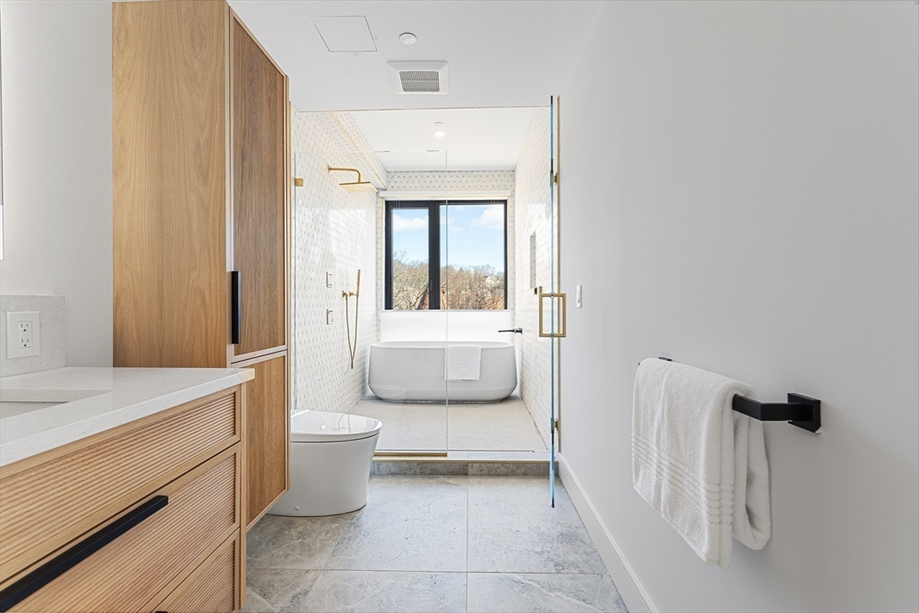 41 University Road, Unit 2 Brookline, MA 02445 - Photo 22 of 33 a bathroom with a sink a toilet and shower