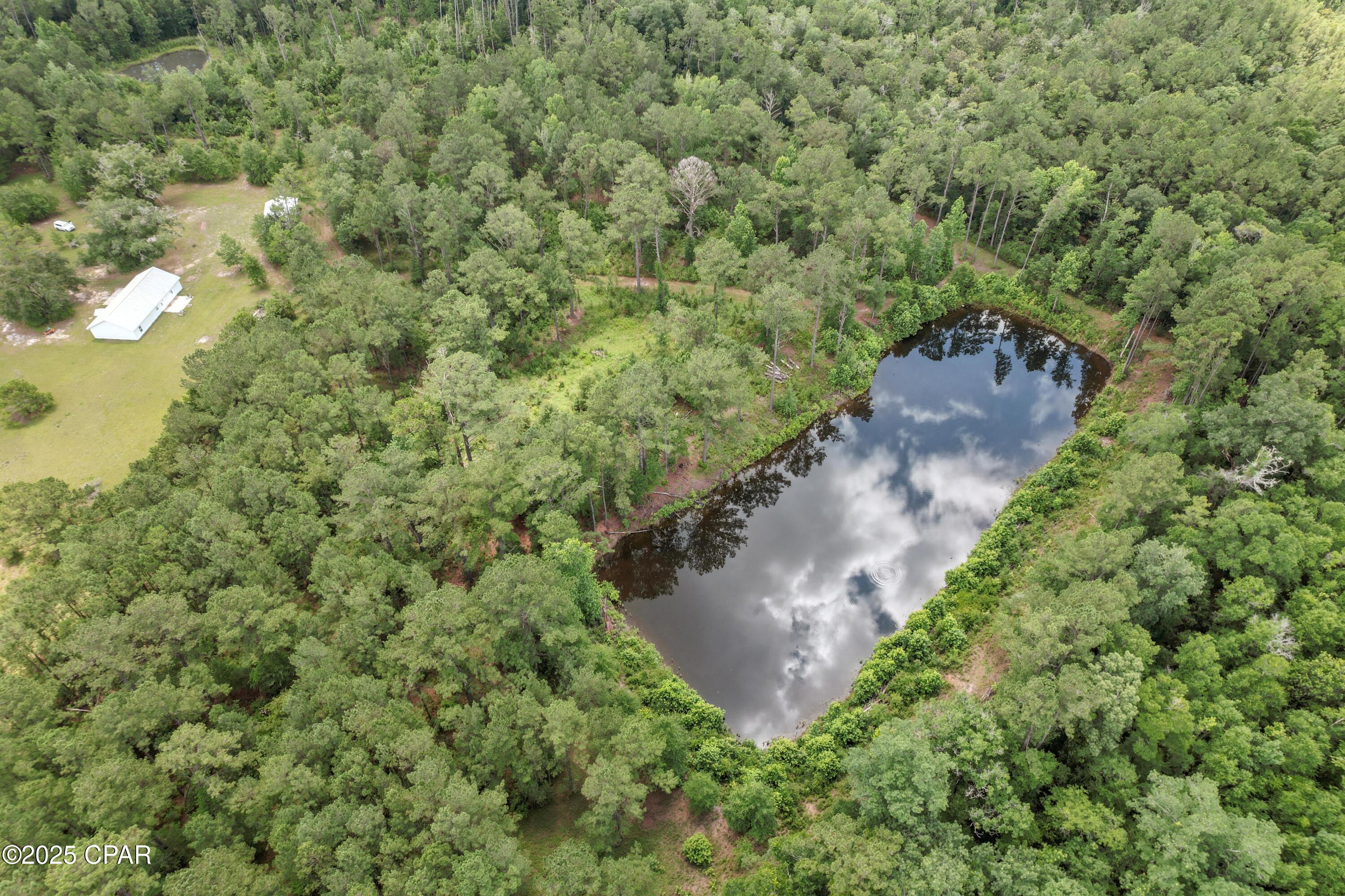 1653 Ledger Road Chipley, FL 32428 - Photo 23 of 46