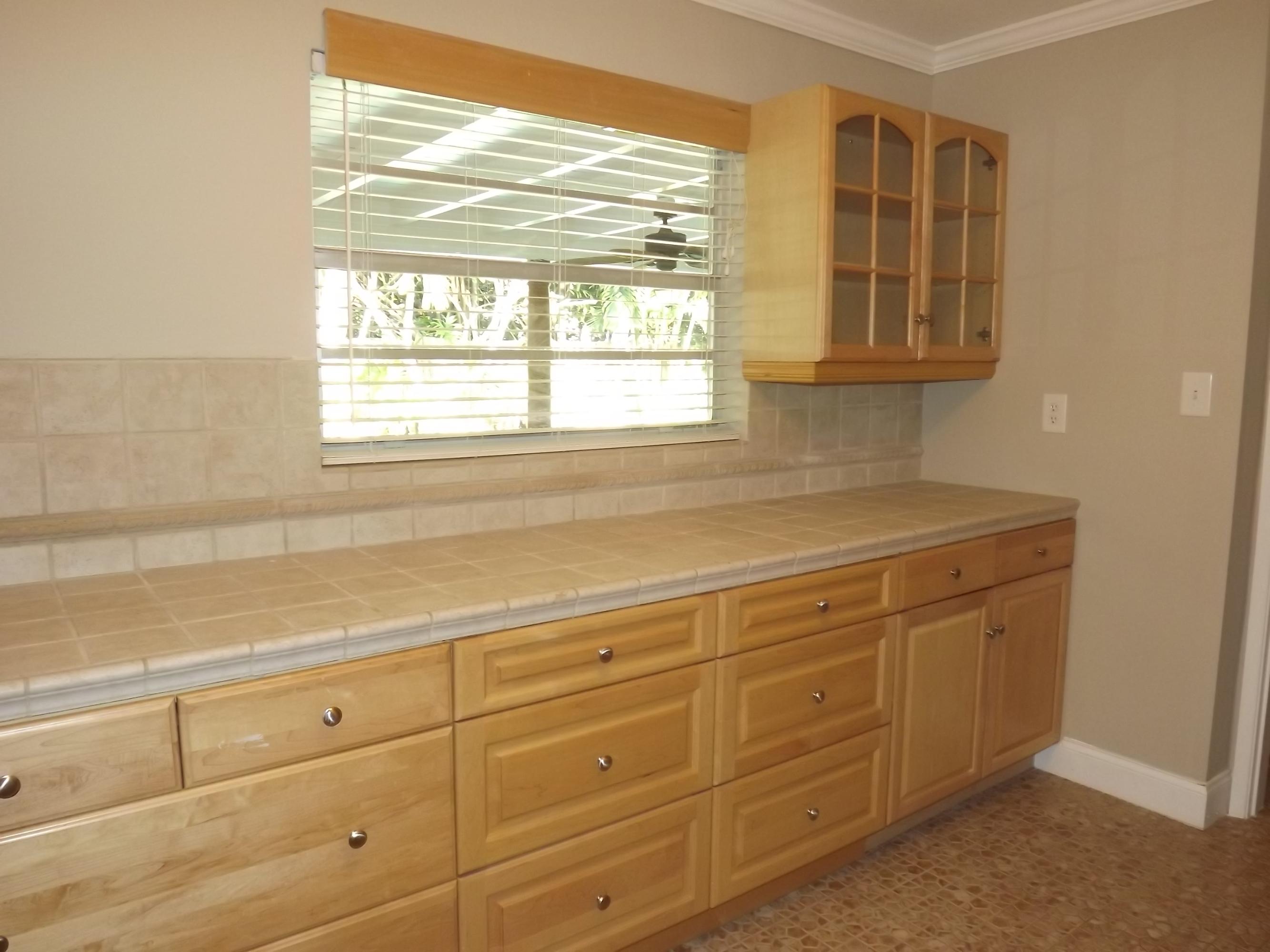 377 Northeast 24th Street Boca Raton, FL 33431 - Photo 5 of 20 EXTRA LARGE PANTRY