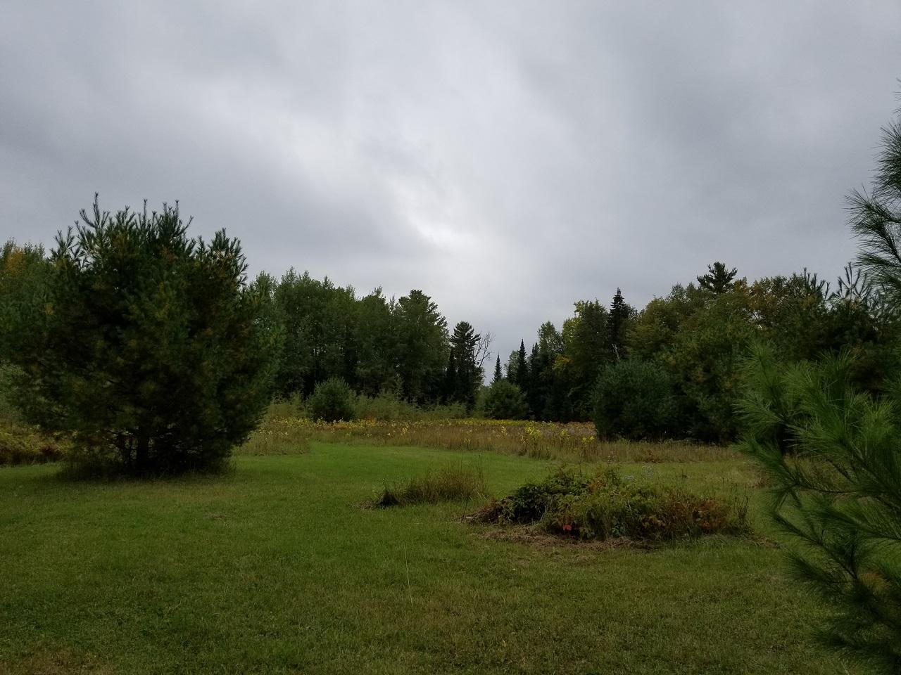 20-ac Off Boyer Road Mercer, WI 54547 - Photo 14 of 21 Gallery Image 14