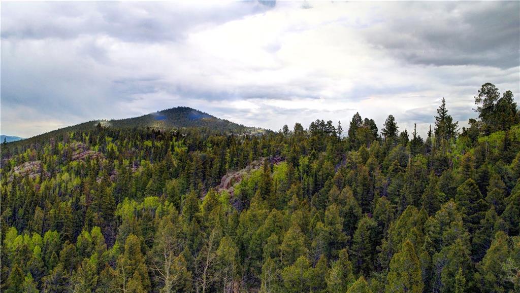 1291 Bow String Road Como, CO 80456 - Photo 5 of 13 Gallery Image 5