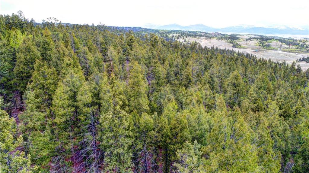 1291 Bow String Road Como, CO 80456 - Photo 8 of 13 Gallery Image 8