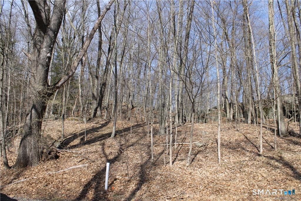 6 Alfredson Road Sherman, CT 06784 - Photo 5 of 9