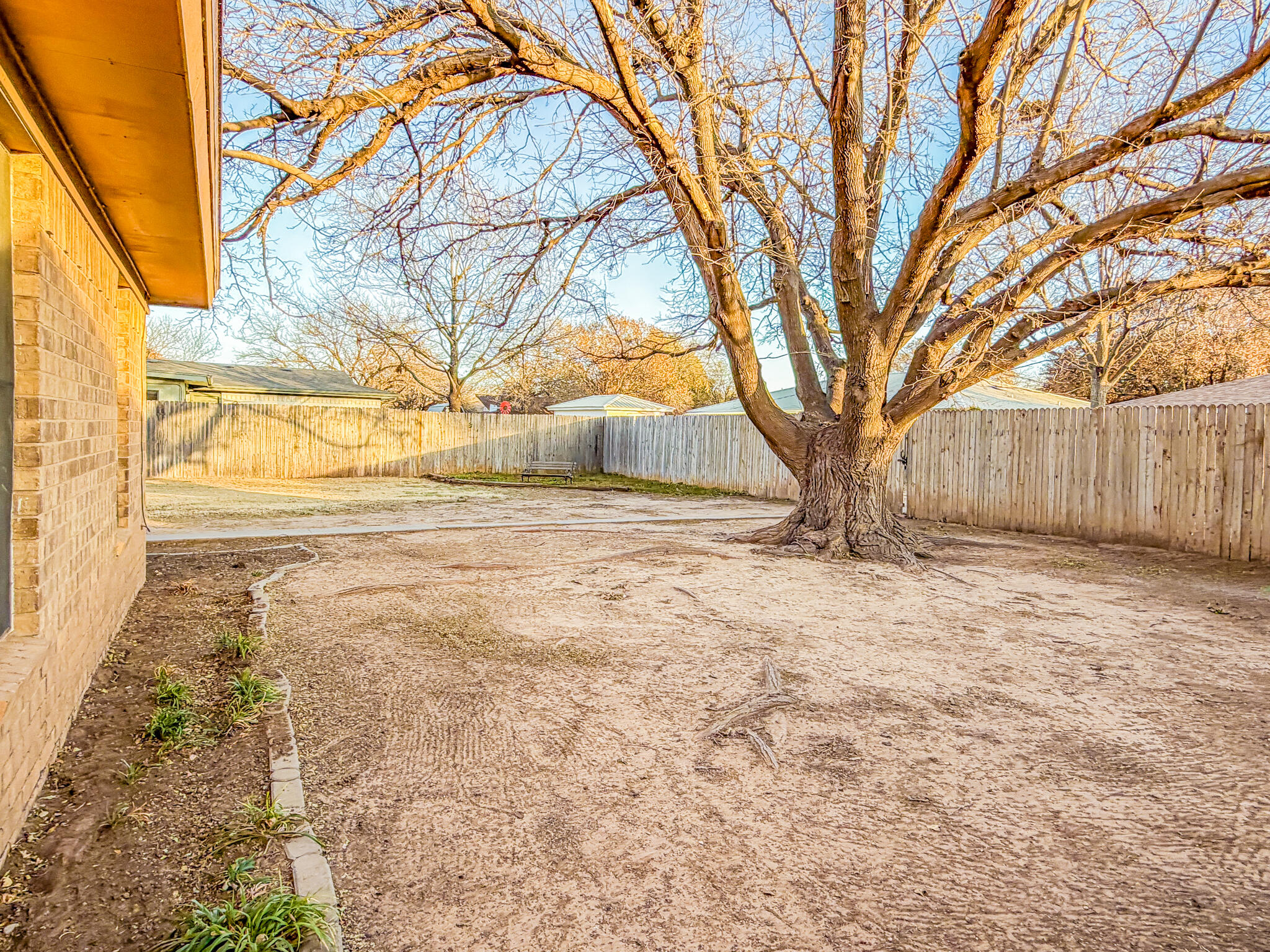 3503 91st Street Lubbock, TX 79423 - Photo 21 of 23 a view of yard with large trees