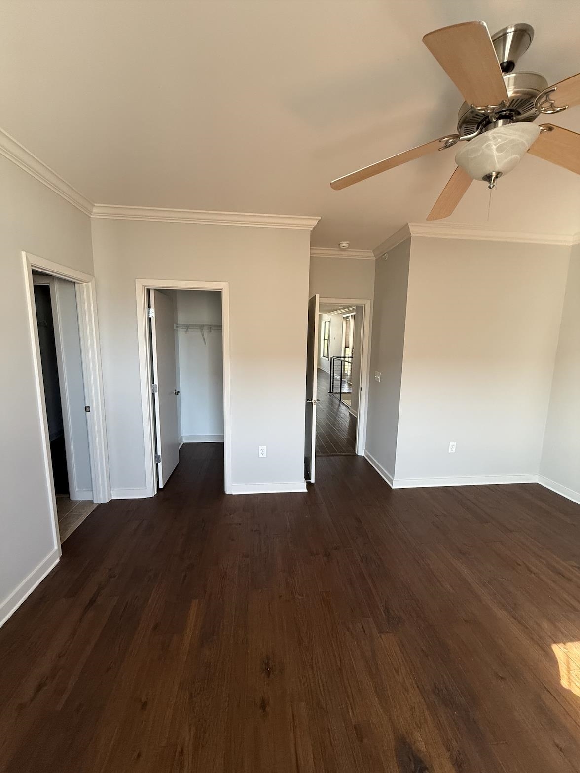 379 Cobalt Bay Loop, Unit 304 Memphis, TN 38103 - Photo 9 of 24 Unfurnished bedroom featuring dark wood-type flooring, a walk in closet, and a ceiling fan