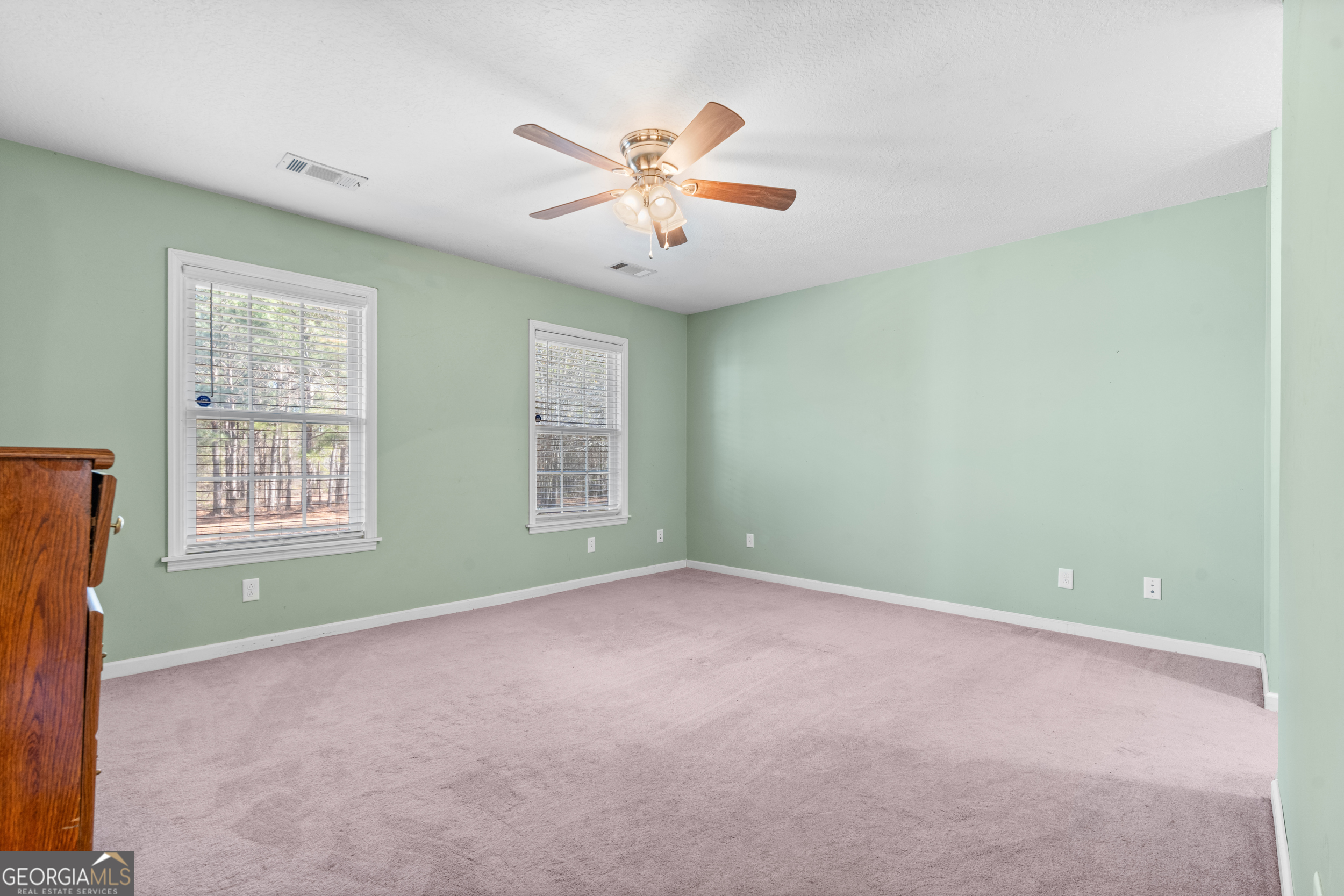 300 Best Bridge Road Sylvania, GA 30467 - Photo 9 of 32