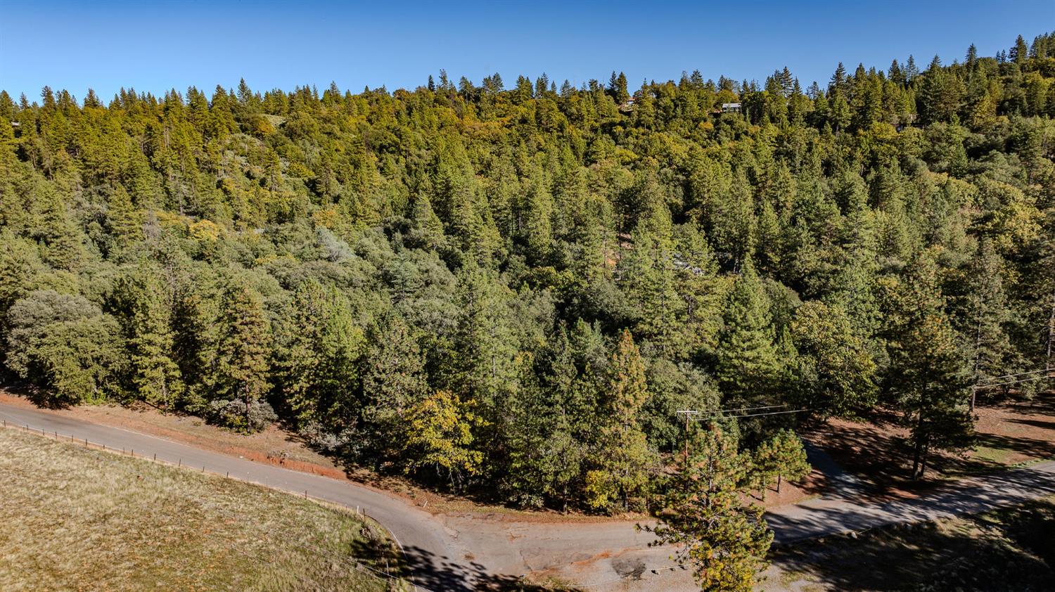 10440 Tabeaud Road Pine Grove, CA 95665 - Photo 13 of 18 a view of a bunch of trees