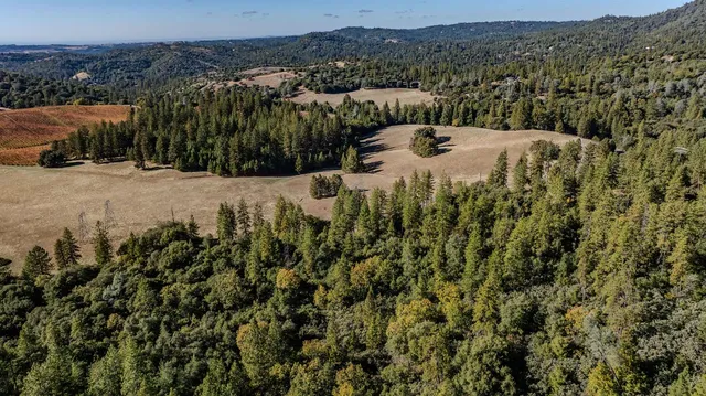 $90,000 | 10440 Tabeaud Road, Pine Grove, CA 95665