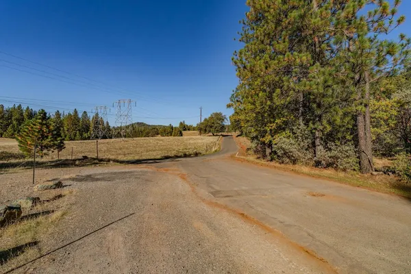 a view of a dry yard with a tree