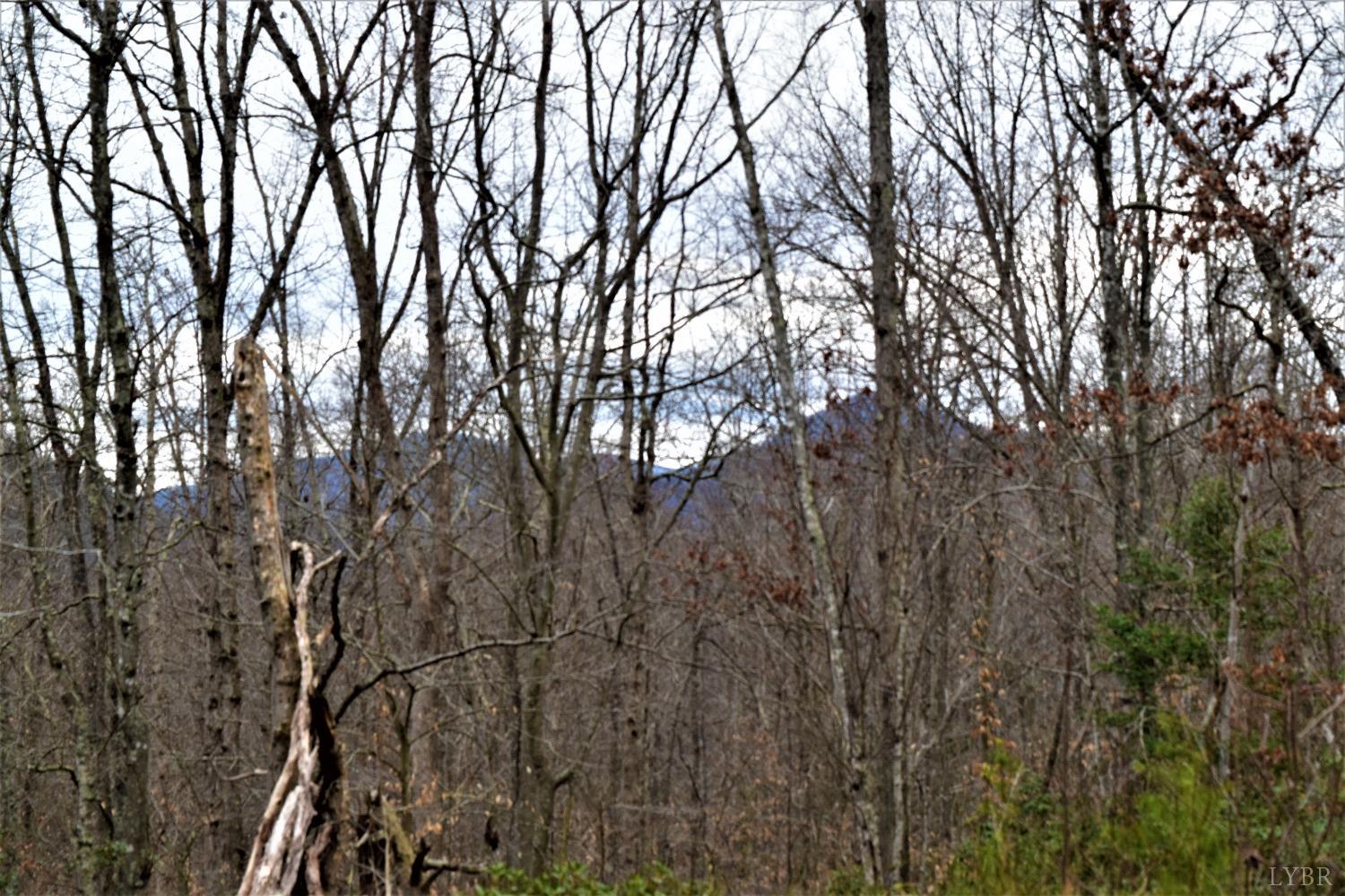 0 Level Green Road Roseland, VA 22967 - Photo 1 of 15