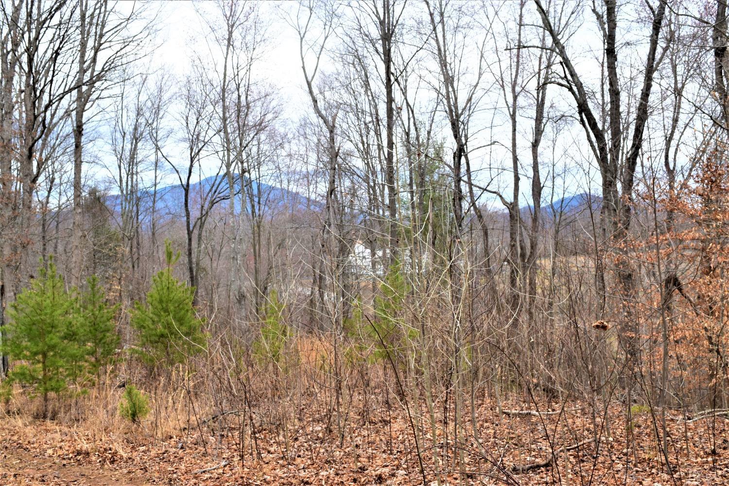0 Level Green Road Roseland, VA 22967 - Photo 11 of 15 a backyard of a house with lots of green space