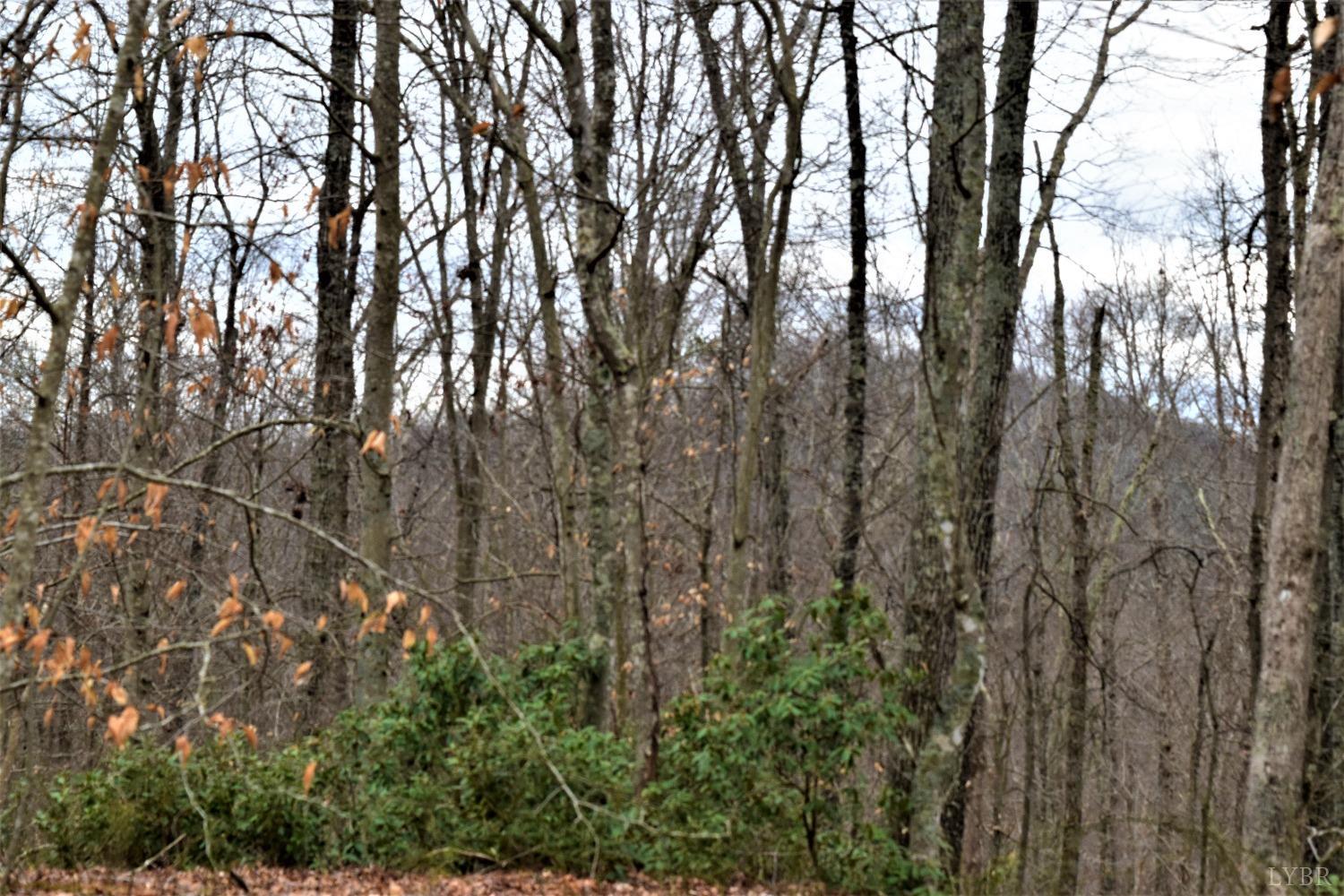 0 Level Green Road Roseland, VA 22967 - Photo 2 of 15