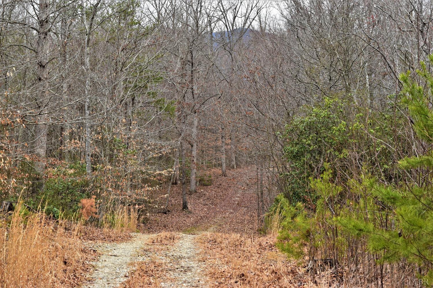 0 Level Green Road Roseland, VA 22967 - Photo 3 of 15 a view of a yard with a tree