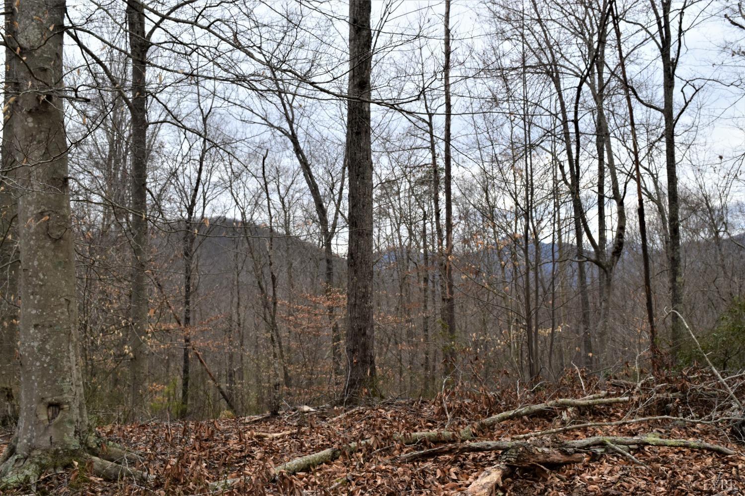 0 Level Green Road Roseland, VA 22967 - Photo 8 of 15 a view of house with a forest
