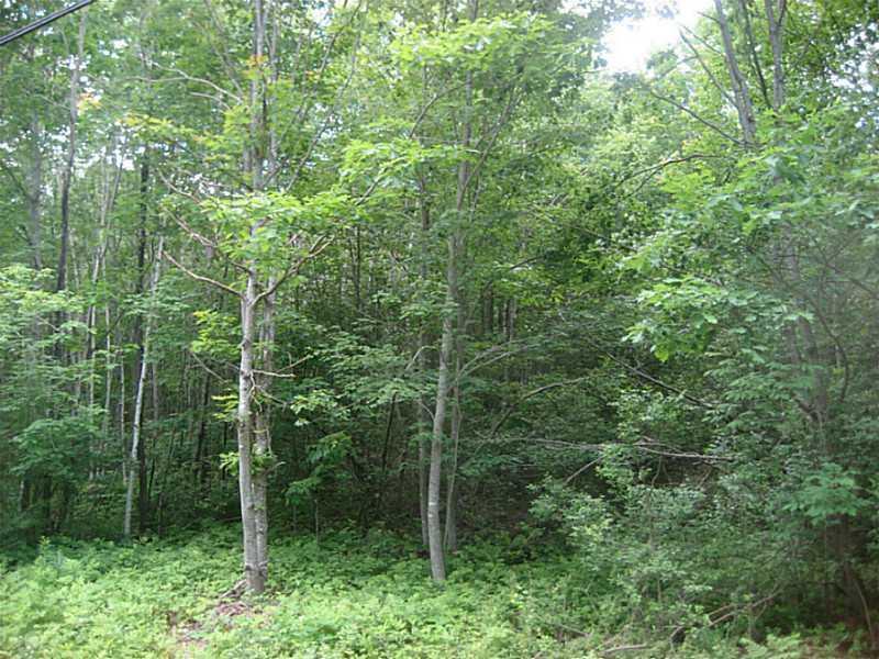 0 Hope Road Hope, ME 04847 - Photo 4 of 12 Land/Lot.
