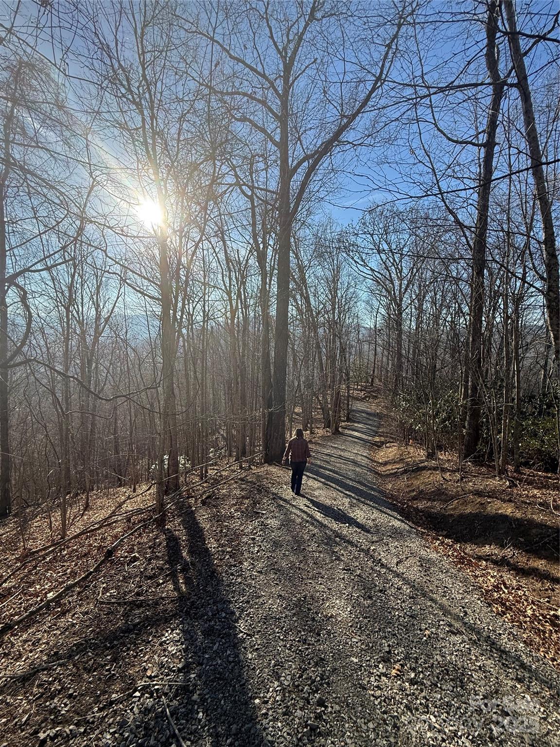 Lot 19 Brer Rabbit Trail, Unit 19 Waynesville, NC 28785 - Photo 2 of 21 a backyard of a house with lots of green space