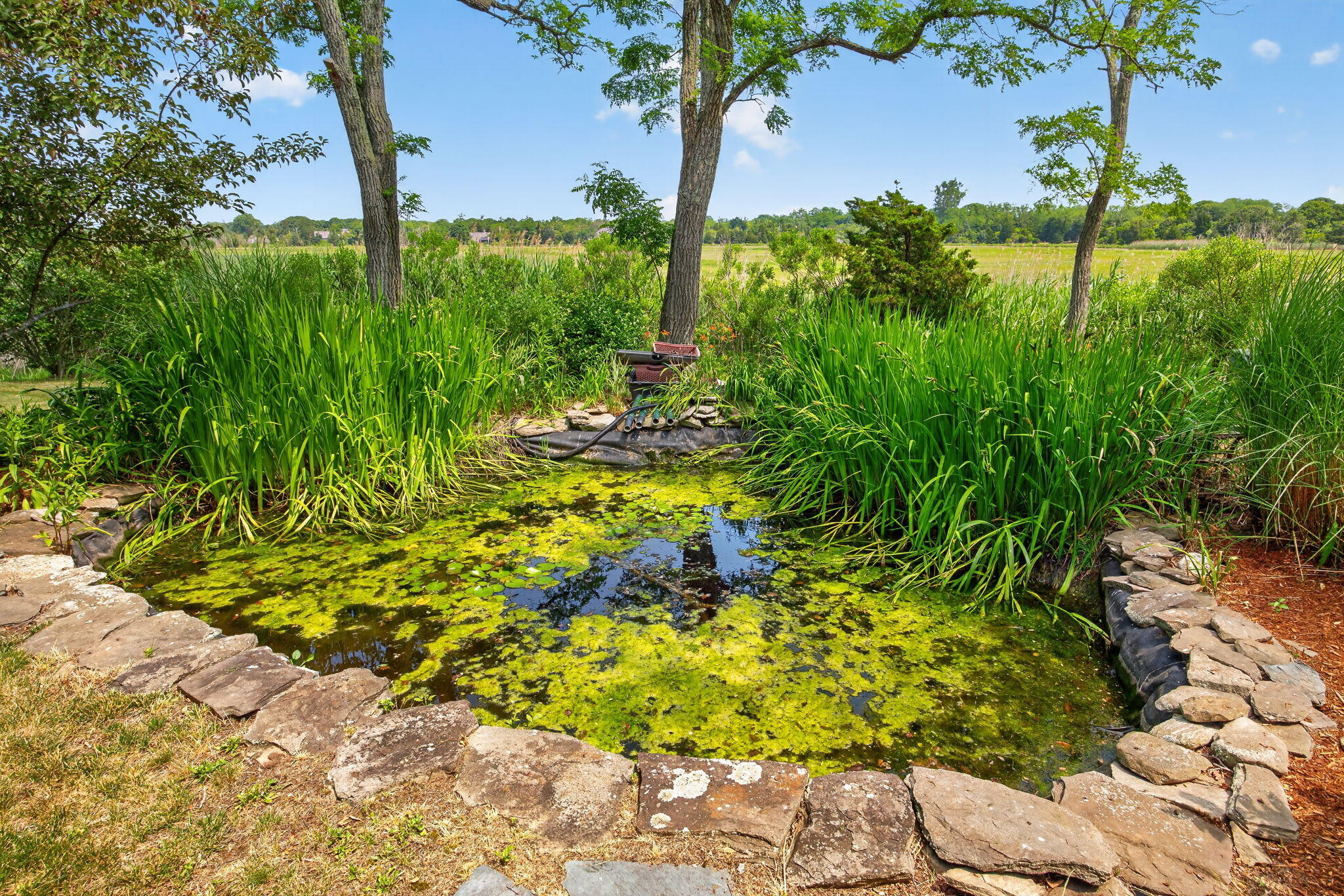181 Rock Harbor Road Orleans, MA 02653 - Photo 25 of 56 11-8P0A7890