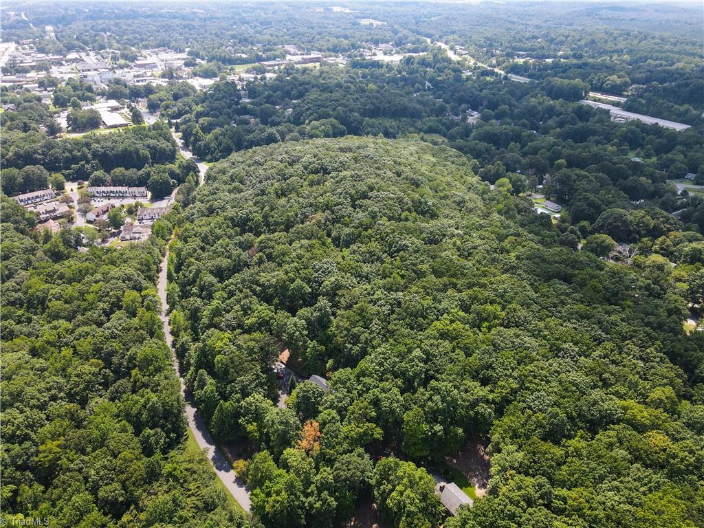 0 Amity Road Asheboro, NC 27203 - Photo 3 of 4