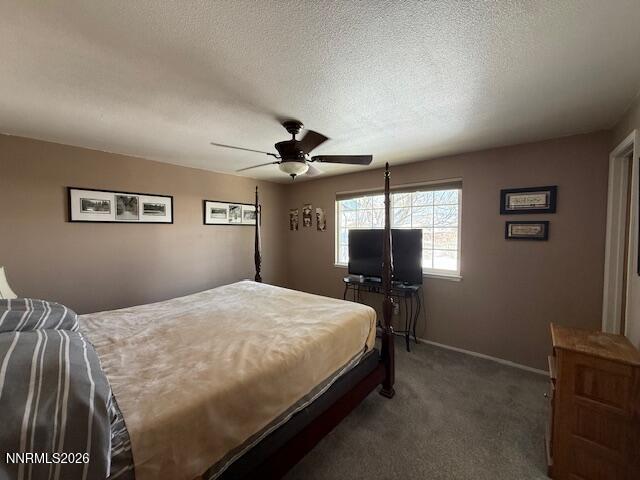 920 Ruby Court Carson City, NV 89705 - Photo 12 of 20 a bedroom with a bed and a chandelier