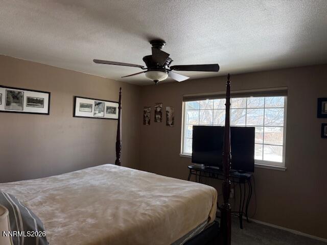 920 Ruby Court Carson City, NV 89705 - Photo 13 of 20 a bedroom with a bed and a flat screen tv