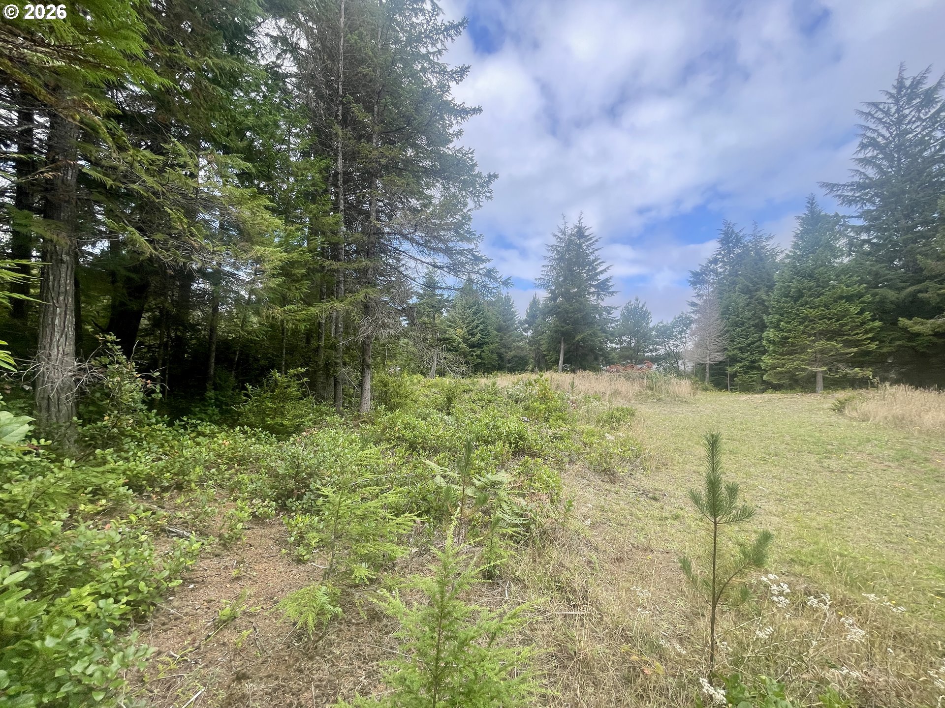 Sandpoint Road North Bend, OR 97459 - Photo 25 of 29 Gallery Image 25