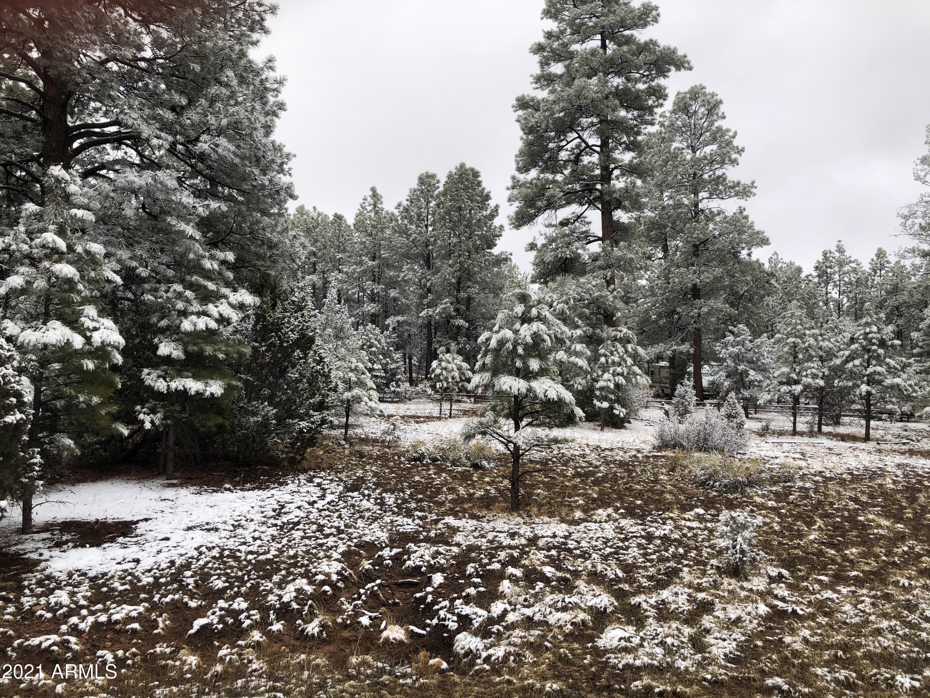 2209 Chevelon Road, Unit 429 Overgaard, AZ 85933 - Photo 8 of 8 2209 Chevelon Rd
