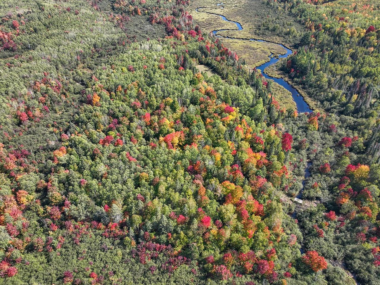 Off Coffee Creek Road Tomahawk, WI 54487 - Photo 28 of 50 Gallery Image 28