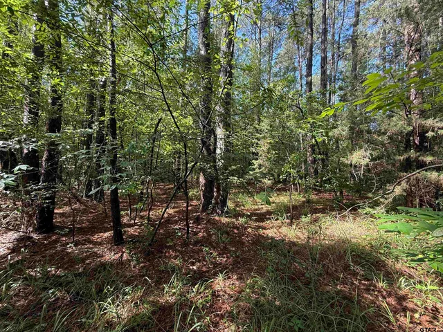a partial view of a house