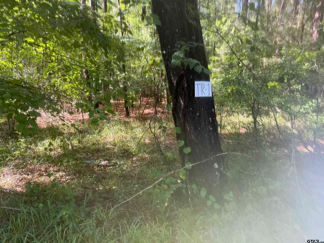 $95,000 | 4194 Tr-1 Henderson Tx 75654, Henderson, TX 75654