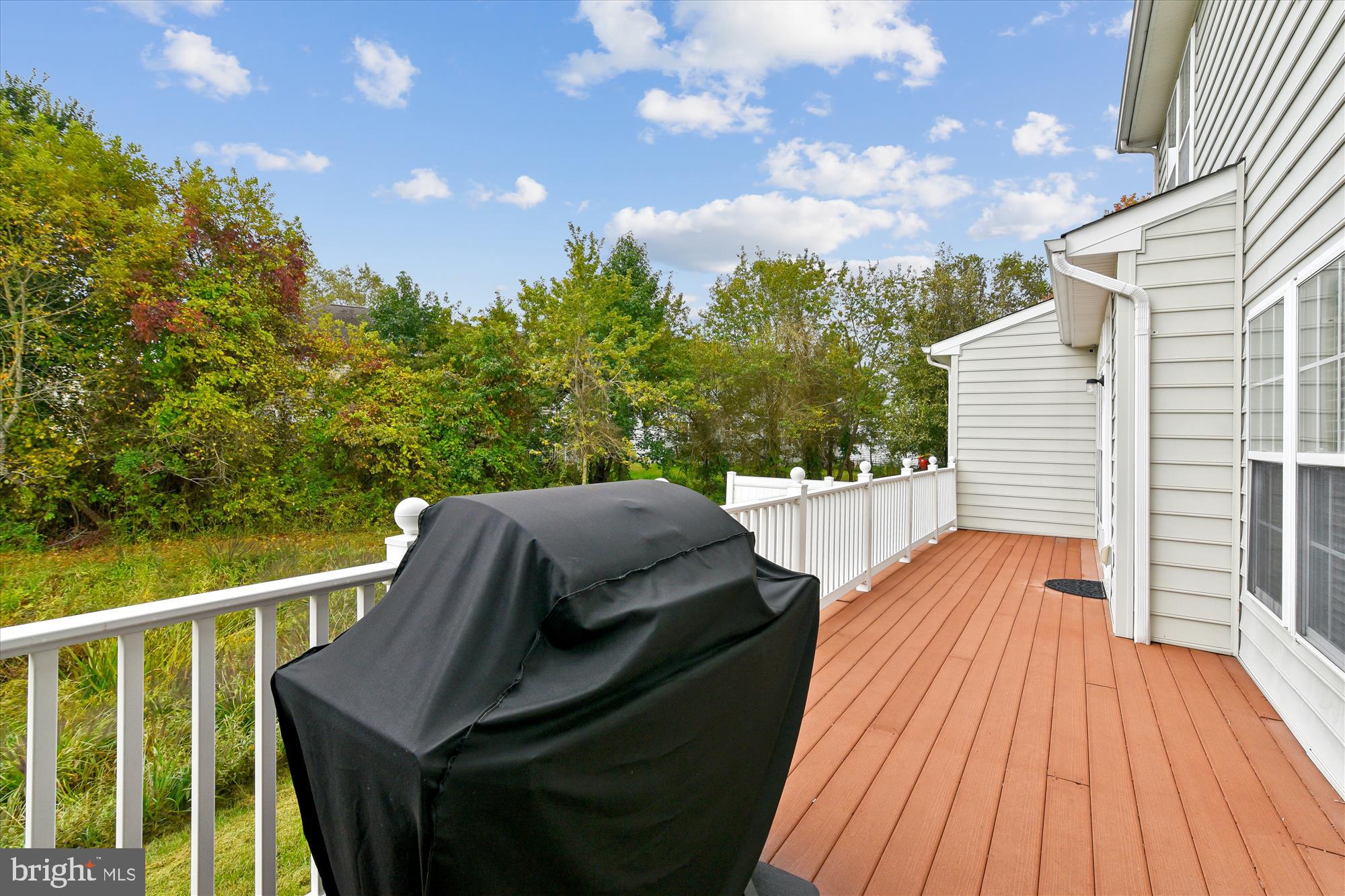 9 Brighton Street Ocean View, DE 19970 - Photo 6 of 48