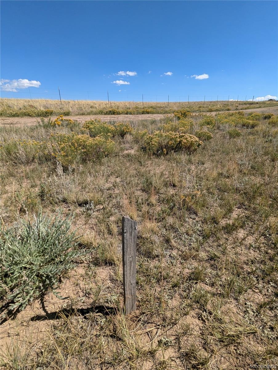 527 Cochiti Road Hartsel, CO 80449 - Photo 11 of 17